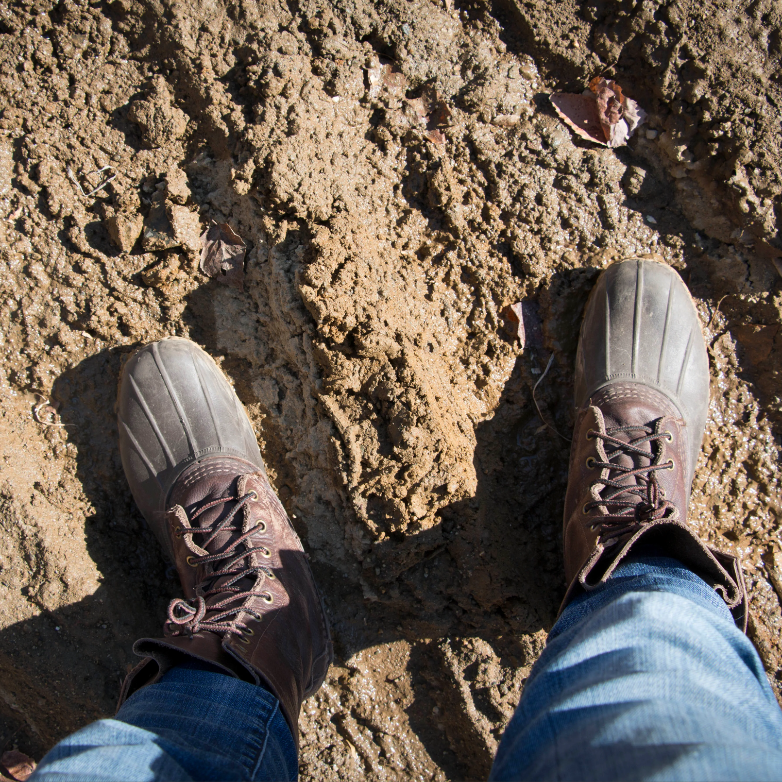 Maine's Mud Season: A Quagmire of Tradition and Transition