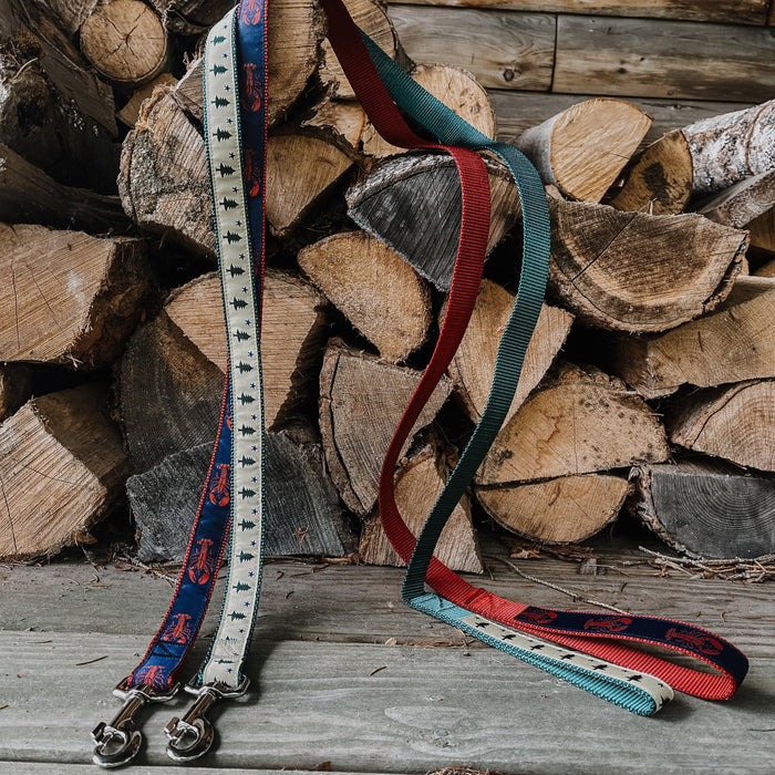 Maine Dog Collars and Leashes