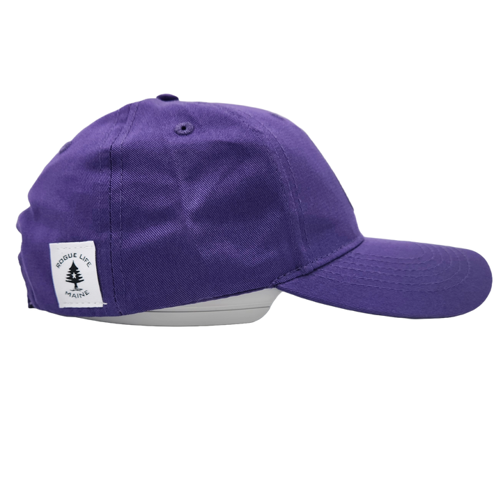 Youth Ocean Stripe 5 Twill Hat