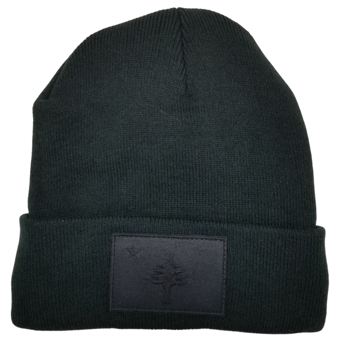 ME Flag Black Patch Fleece-Lined Beanie